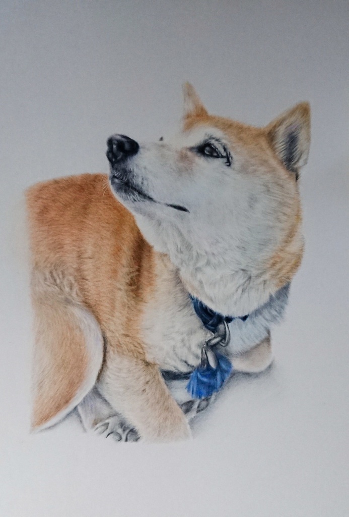 A4サイズ/ペットさんや人物など似顔絵作成