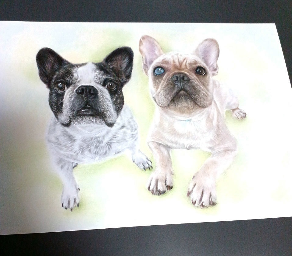 A5サイズ/ペットさんや人物など似顔絵作成