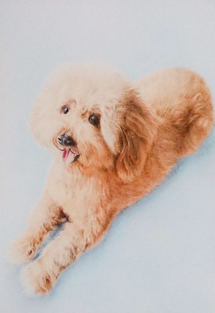 B5サイズ/ペットさんや人物などの似顔絵作成