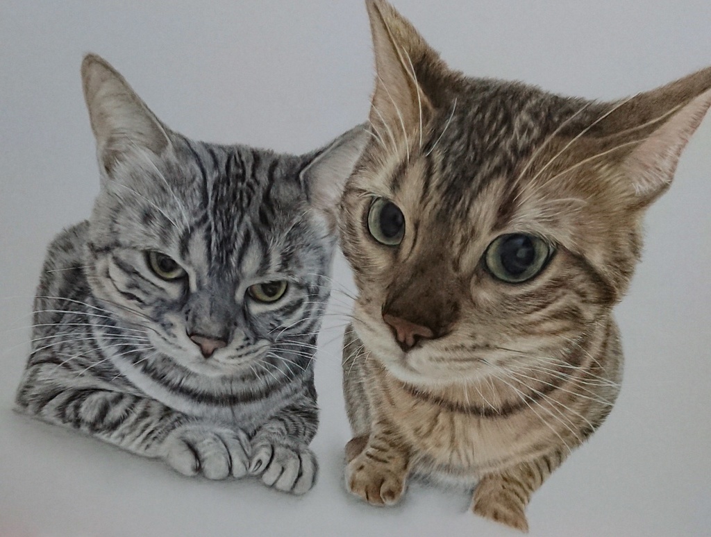 B5サイズ/ペットさんや人物などの似顔絵作成