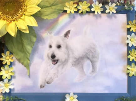 ポストカードサイズ/ペットさんや人物などの似顔絵作成