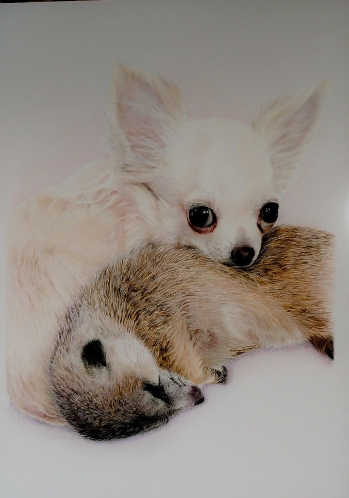 ポストカードサイズ/ペットさんや人物などの似顔絵作成