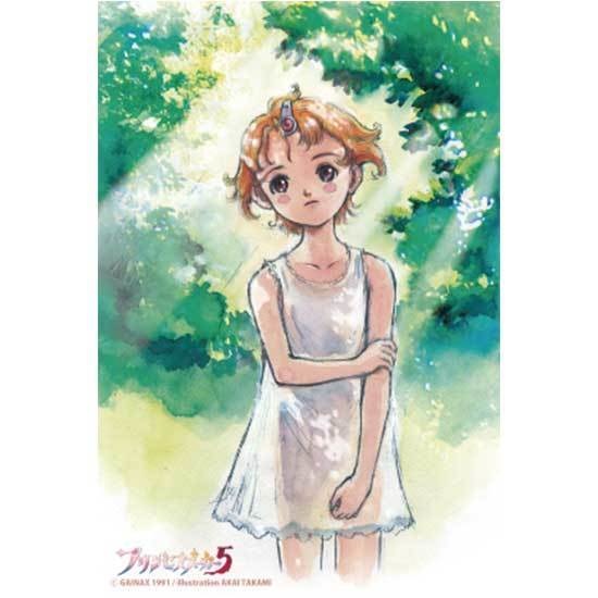 プリンセスメーカー25周年記念グッズセット