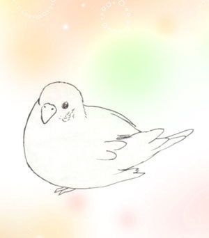 手帳型iPhoneケース インコ