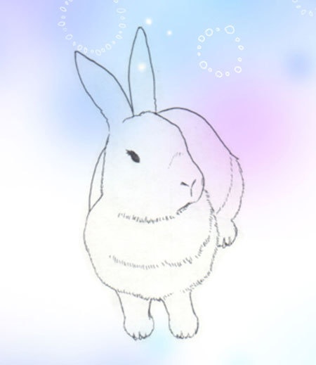 手帳型iPhoneケース うさぎ