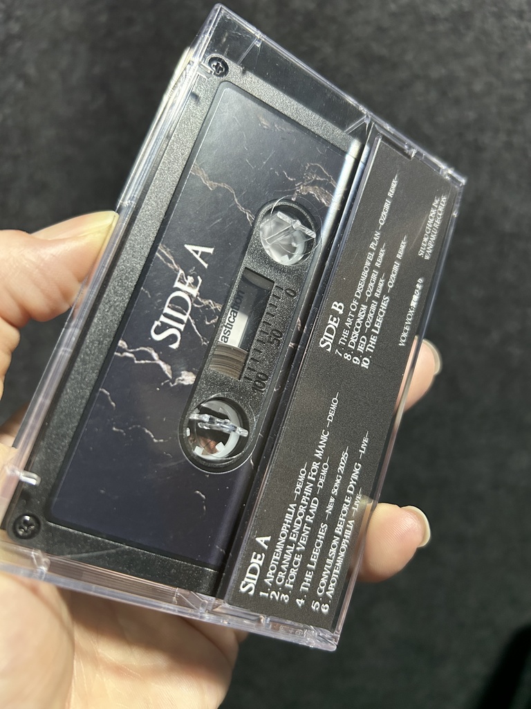 The 19th Teratogenesis(限定版カセットテープ/DLコード付)