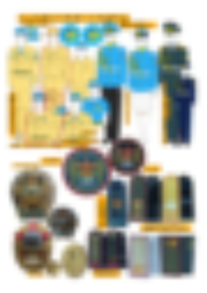 カザフスタン軍制服規定2 国防省(海軍、憲兵、儀仗隊、軍楽隊、幼年学校、ジャスサルバズ)、フルカラー18p