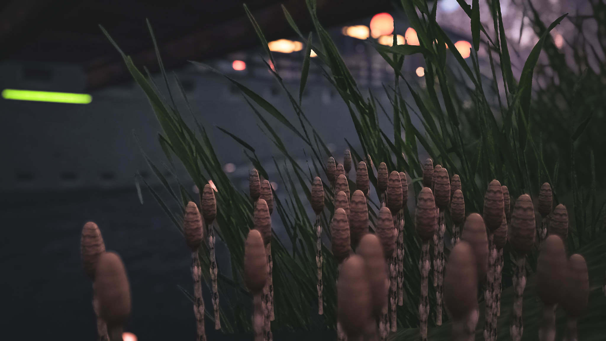 【VRC対応】つくし 3Dモデル