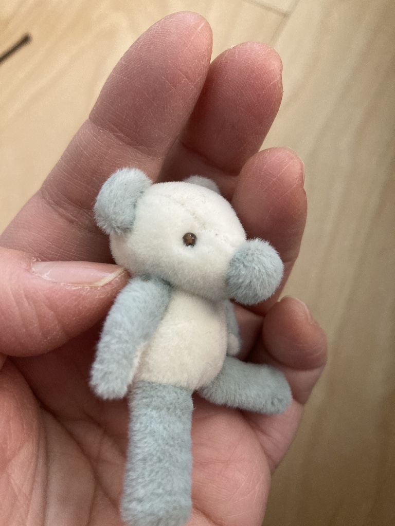 はなぐまちゃん