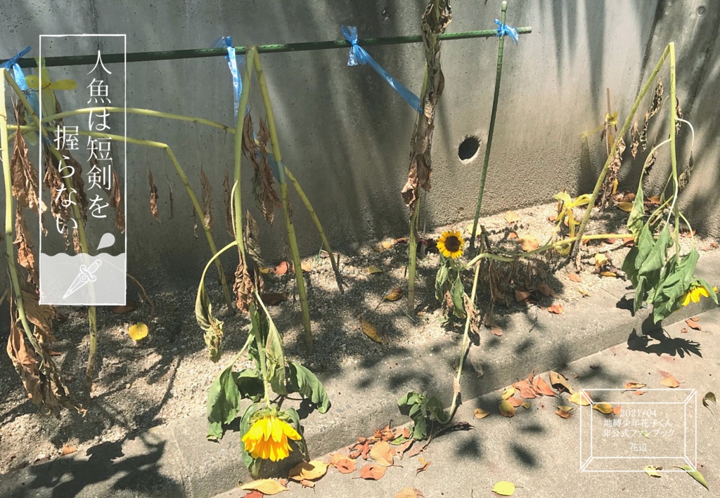 人魚は短剣を握らない 夜の辺り Booth