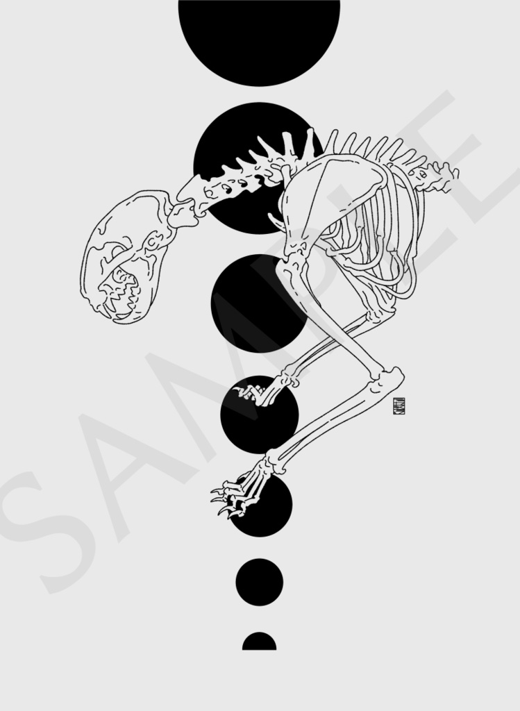 【カラーTシャツ/淡色】骨標本