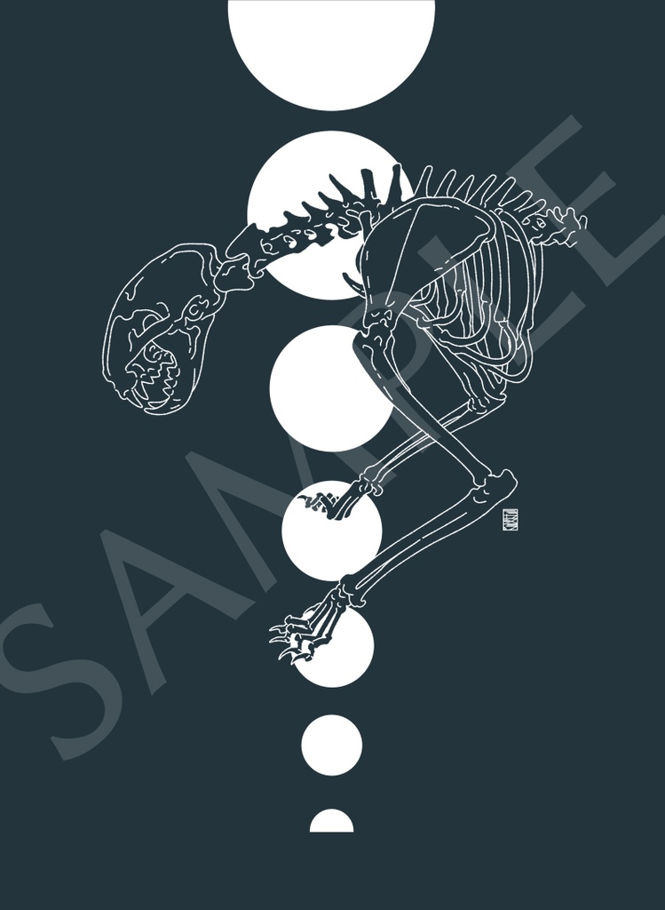 【カラーTシャツ/濃色】骨標本