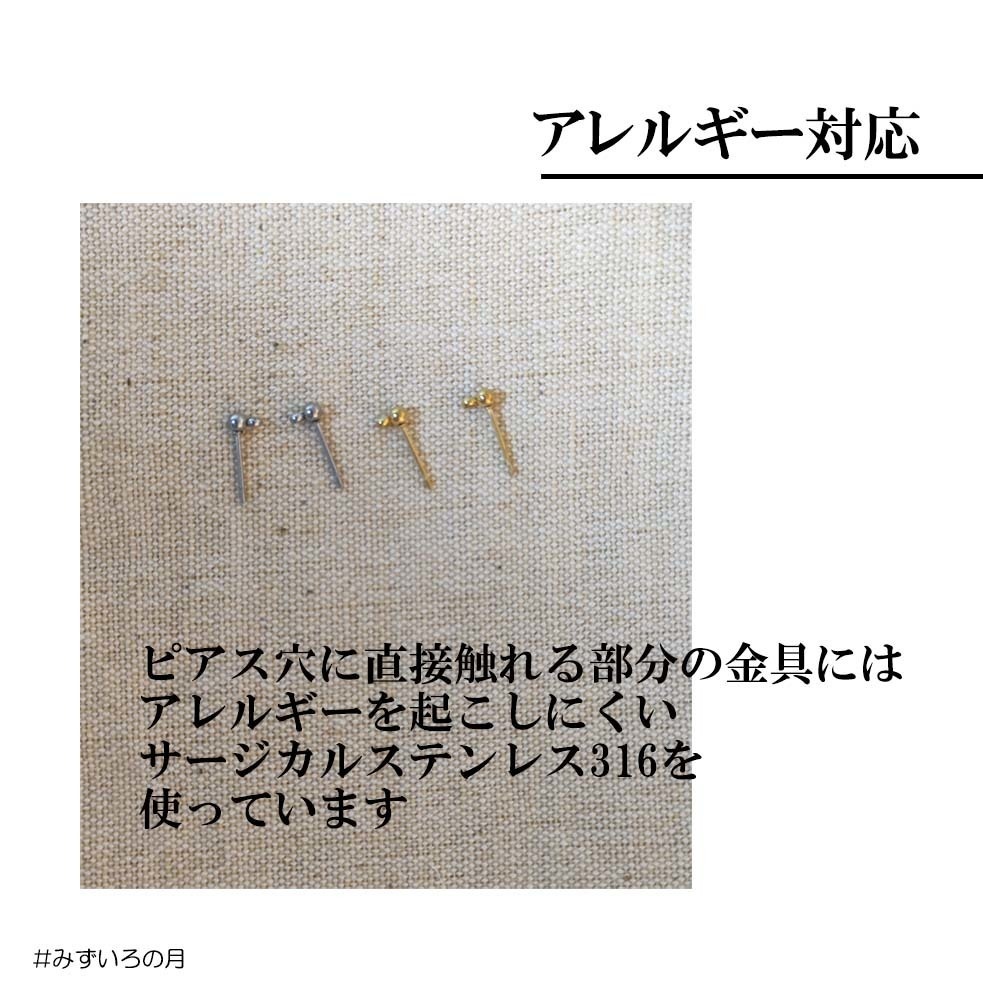 ピアス&イヤリング★進、アベルト、雪、ガミラス