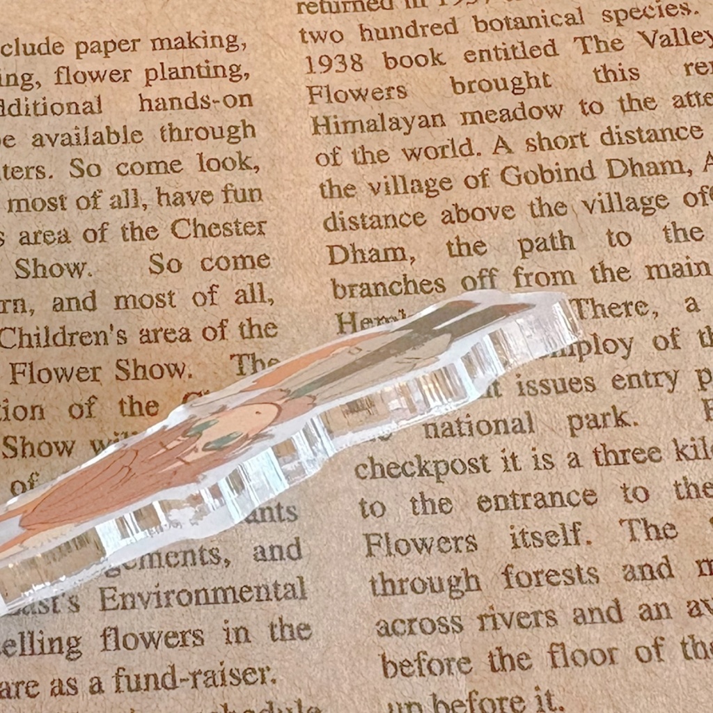 こんこんハリー