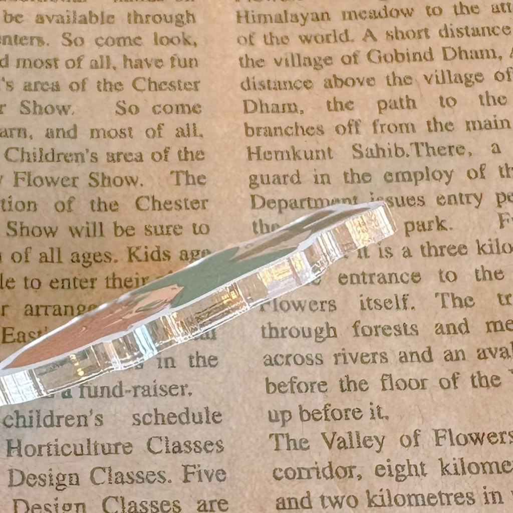 おめかしハリー