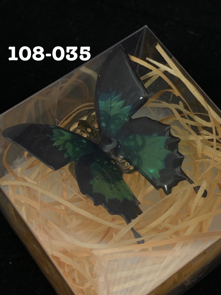 大きな蝶のリング(人間用フリーサイズ)