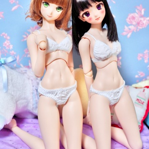 MDD/DDdyサイズ 『コットン』シリーズ