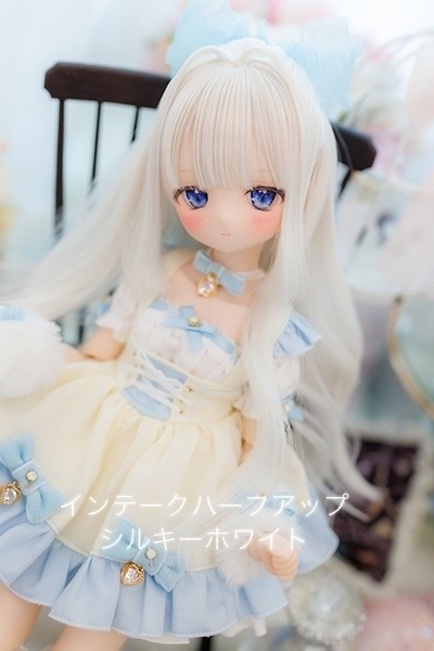 【在庫1つ限り!終売予定品★20%OFF】9inchウィッグ インテークハーフアップ