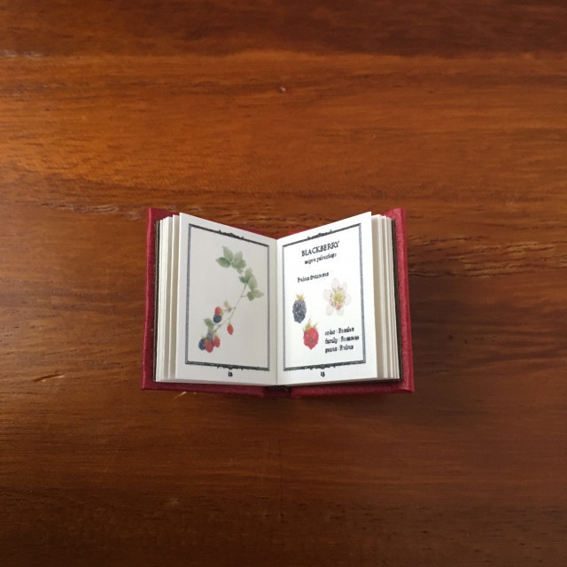 オビツ11サイズ 豆本 FRAGARIA petit(いちごの図鑑)とシールのセット