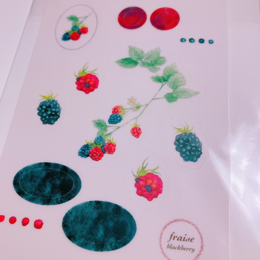 オビツ11サイズ 豆本 FRAGARIA petit(いちごの図鑑)とシールのセット