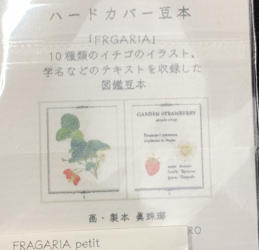 オビツ11サイズ 豆本 FRAGARIA petit(いちごの図鑑)とシールのセット