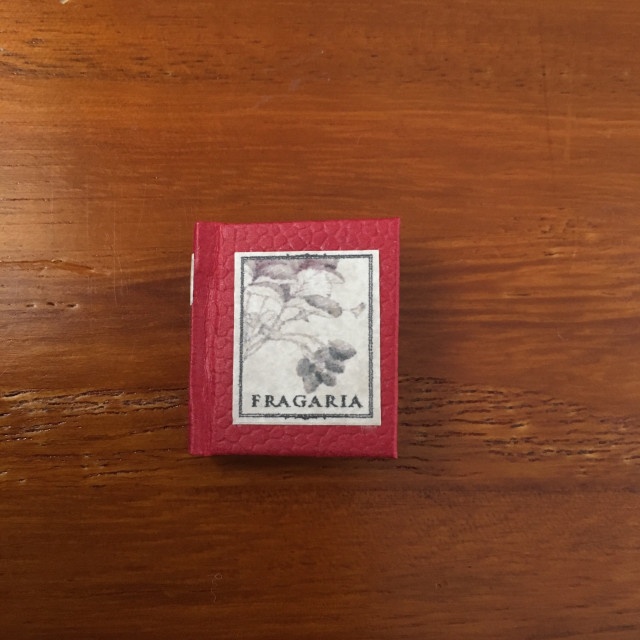 オビツ11サイズ 豆本 FRAGARIA petit(いちごの図鑑)とシールのセット