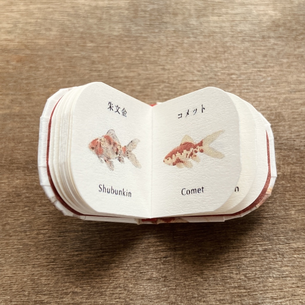 オビツ11サイズ 豆本 金魚図鑑