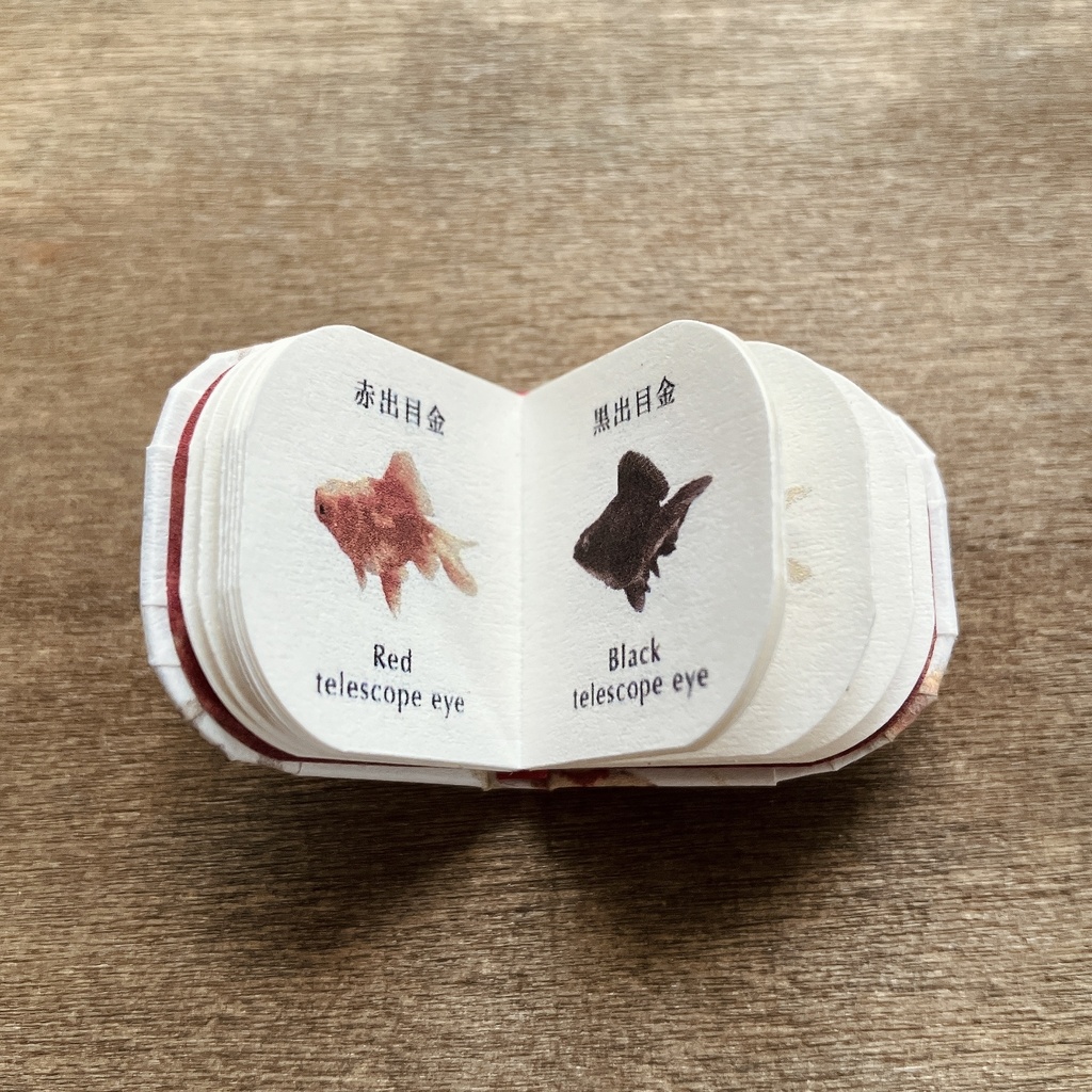 オビツ11サイズ 豆本 金魚図鑑