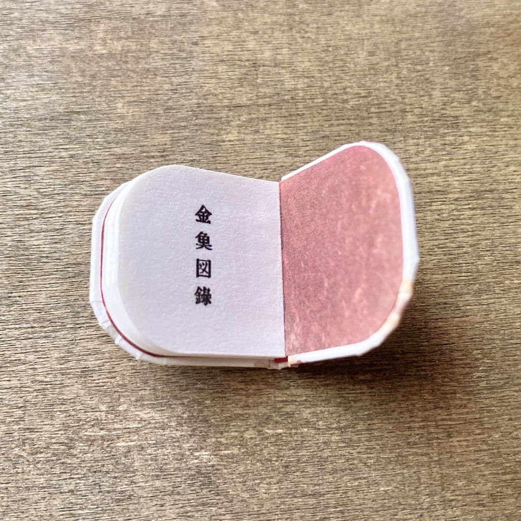 オビツ11サイズ 豆本 金魚図録