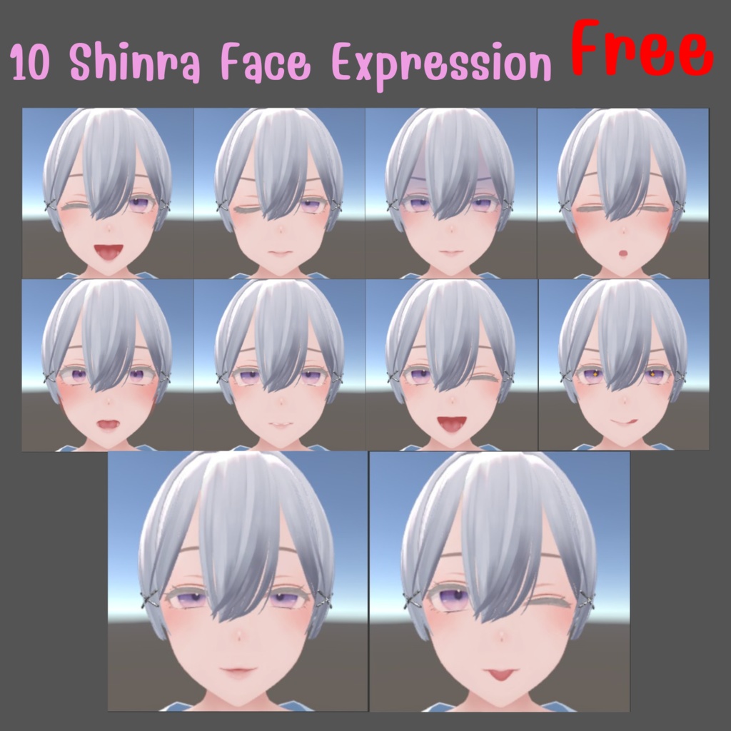 「Free」森羅_10 Shinra Face Expression