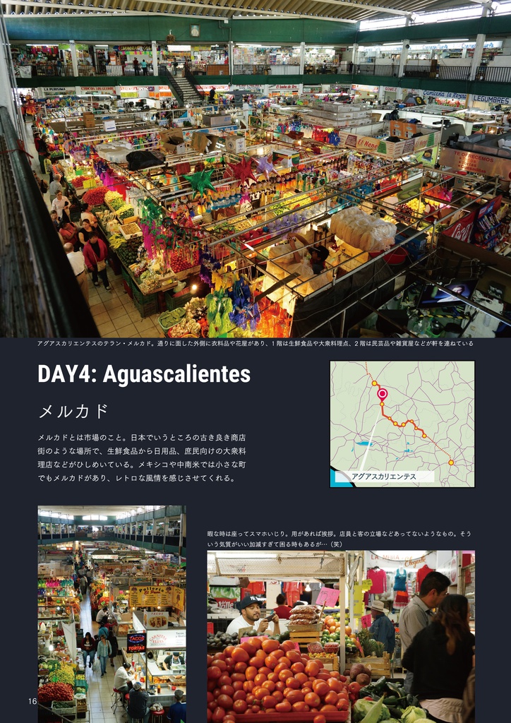 自転世界録 vol.2 メキシコ編