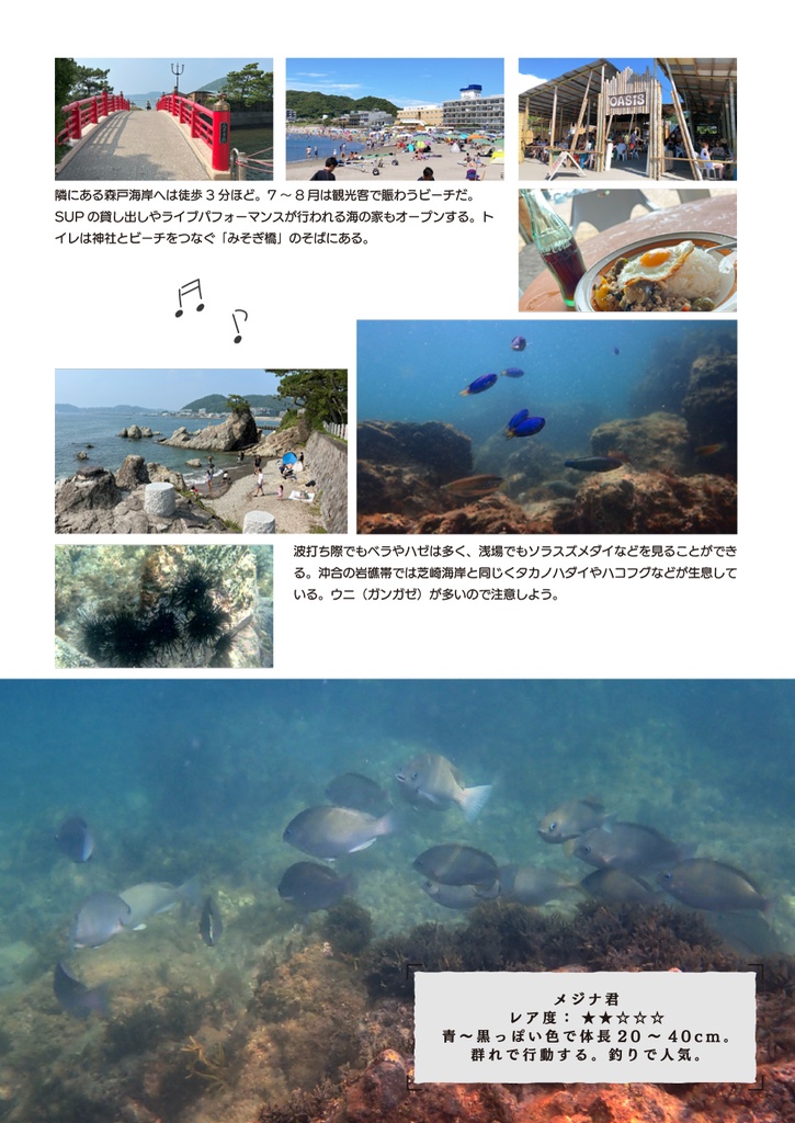 南関東シュノーケリングガイド:思い立ったらすぐ行けるスポット18選