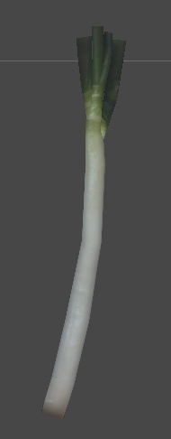 白ねぎ