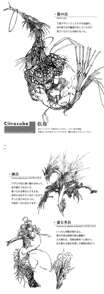 Citrocube1【6/6まで受付】