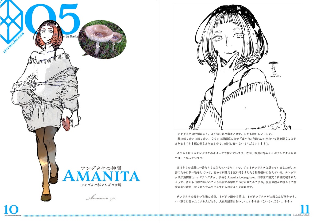 Citrocube05 under the Bluesky