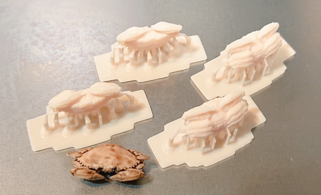 1/12 ボイルワタリガニ4杯セット(STLデータあり)