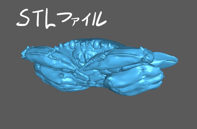 1/12 ボイルワタリガニ4杯セット(STLデータあり)