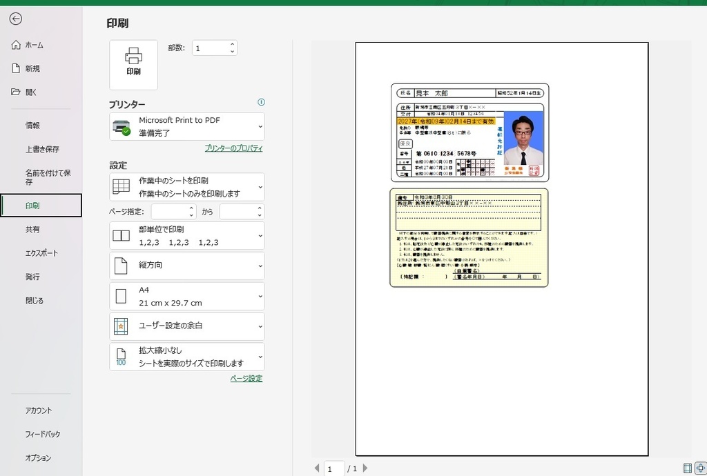 なんちゃって運転免許証エクセルデータ - 梅酒ロッカー - BOOTH