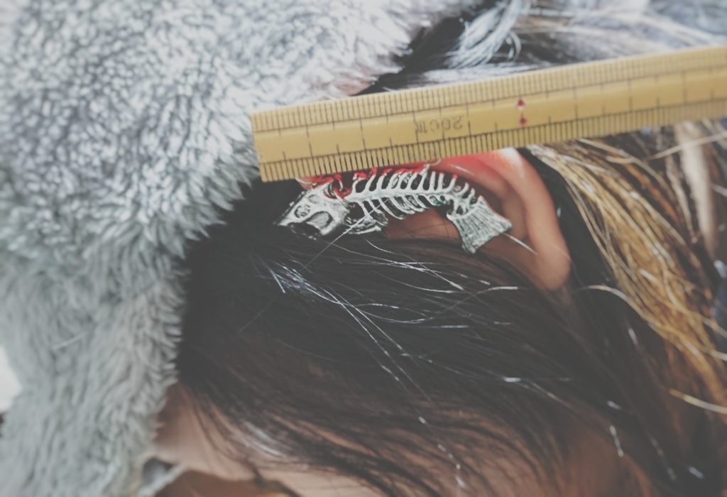 魚の標本のフェイクインダストリアル【イヤリング】