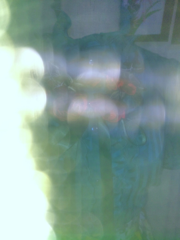 薔薇園の襟飾りA