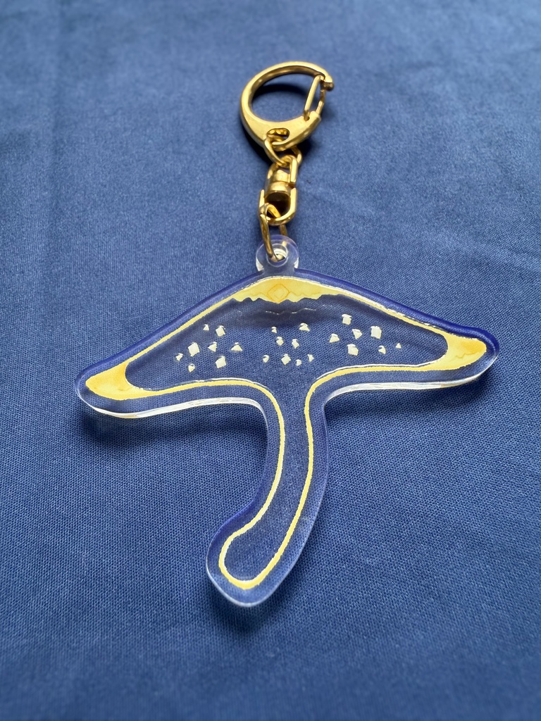 生き物たちのアクリルキーホルダー　書庫の透明マンタ(尻尾透明)