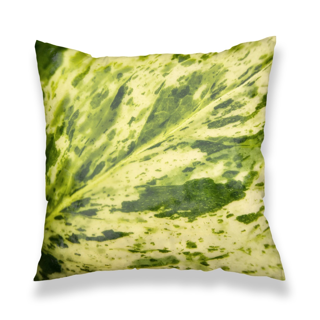 Macro Green クッションカバー - ポトスマーブルクイーンの葉