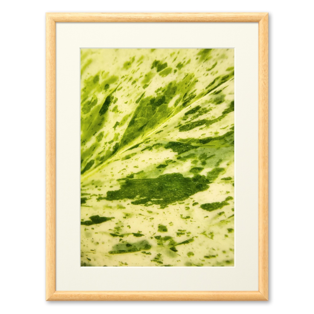 Macro Green 複製画(プリモアート) - ポトスマーブルクイーンの葉