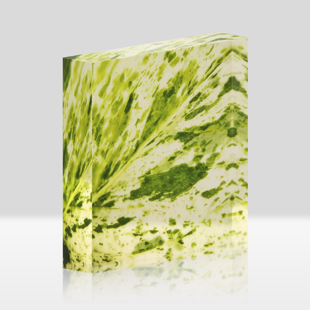 Macro Green アクリルブロック - ポトスマーブルクイーンの葉