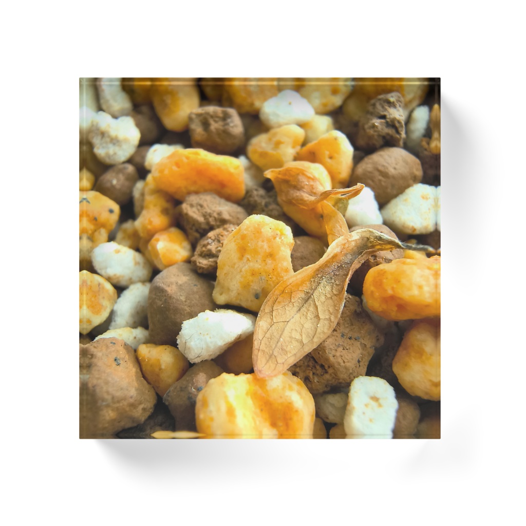 Macro Green アクリルブロック - シェフレラの落ち葉