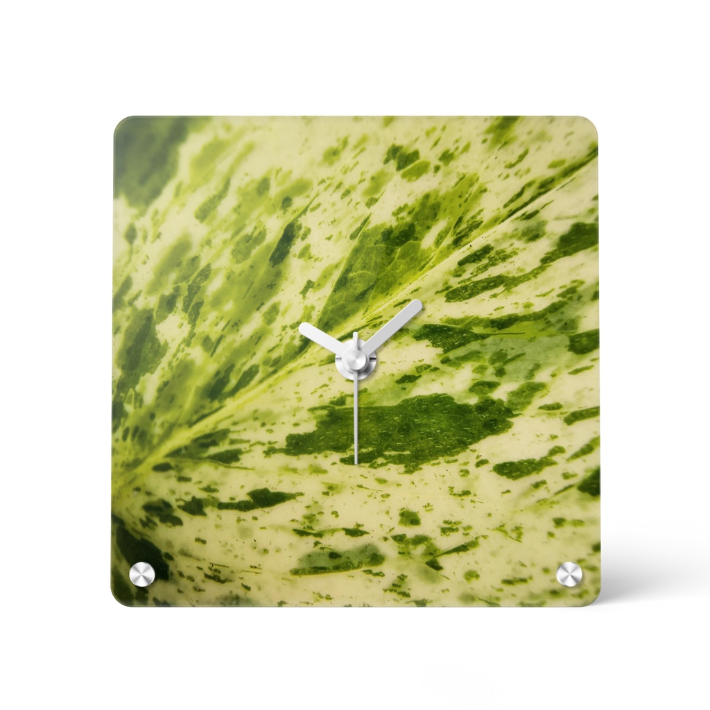 Macro Green アクリル時計 - ポトスマーブルクイーンの葉