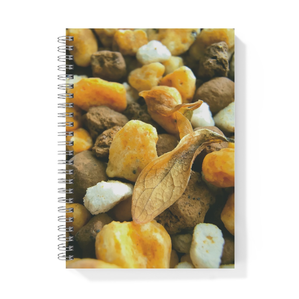 Macro Green リングノート - シェフレラの落ち葉