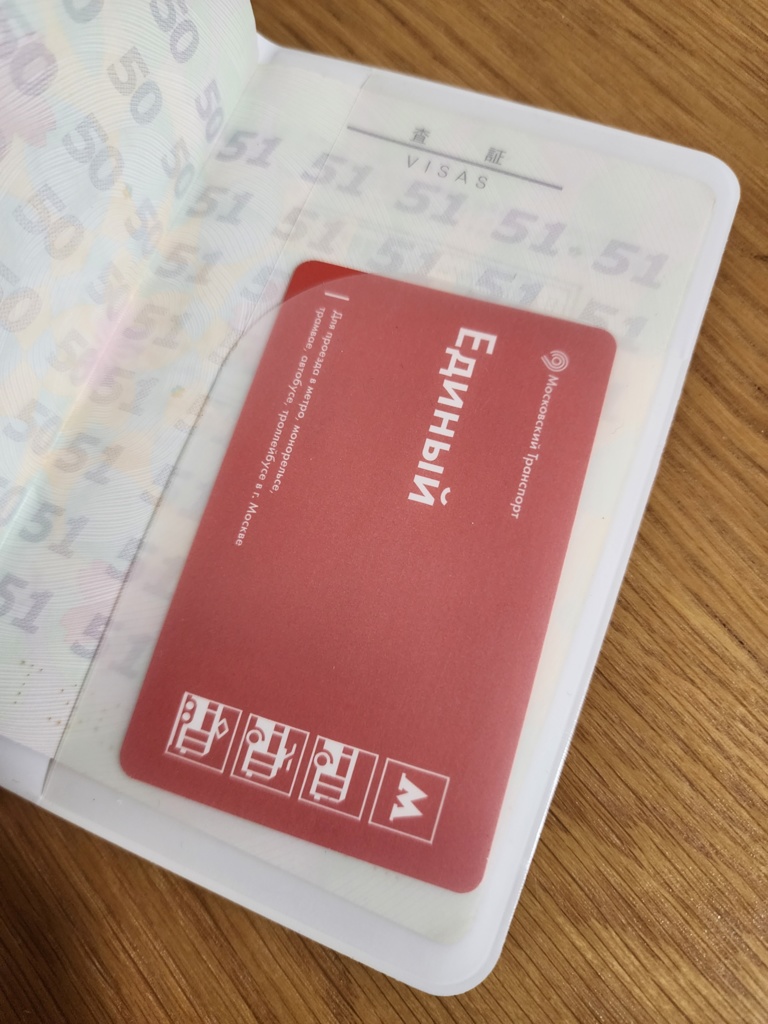 並木芽衣子さんモチーフ パスポートケース