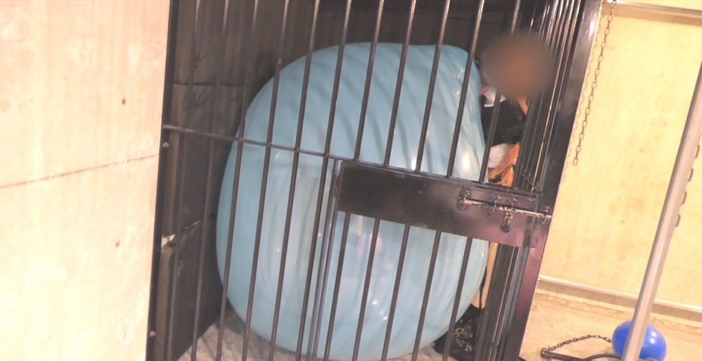 150cm巨大風船檻内圧迫割り