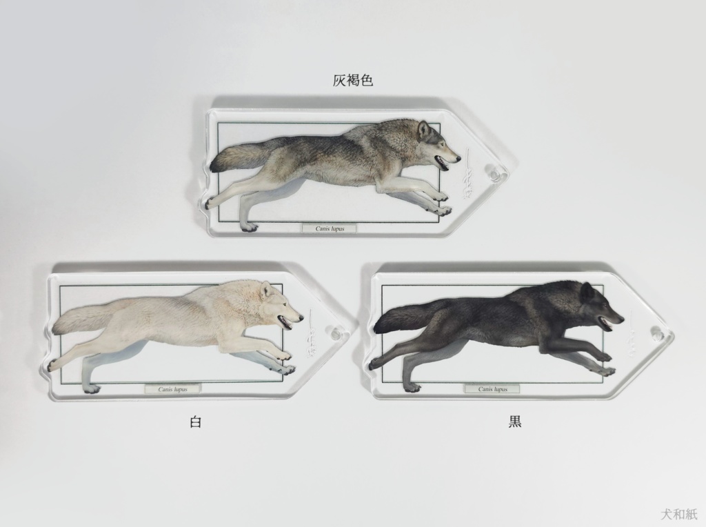 オオカミ解剖図風キーホルダー【二枚組】